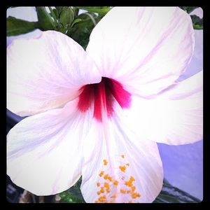 Meet your Posher, Lindi